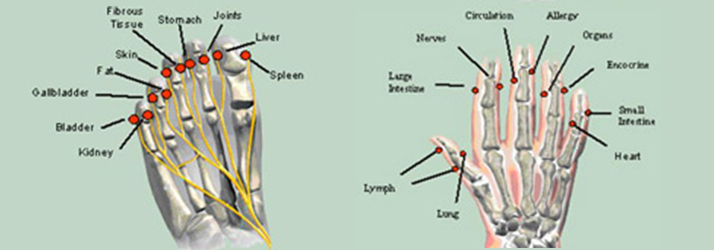Chiropractic-Valencia-CA-Meridian-Stress-Assessment-714x250-1.jpg low back pain relief with chiropractic care